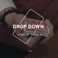 Drop Down by Lyndon Jugalbot