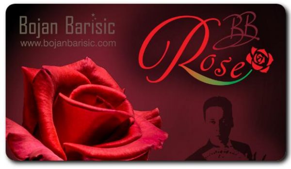 BB Rose by Bojan Barisic