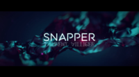 SNAPPER By Laurent Villiger
